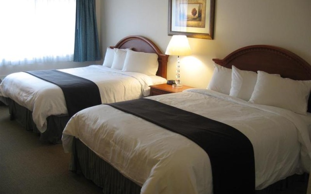 photo 5 of Best Western Inn at the Meadows