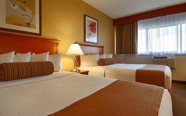 photo 4 of Loyal Inn