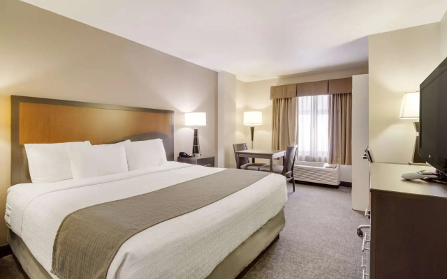 photo 5 of SureStay Plus Hotel by Best Western Houston Medical Center