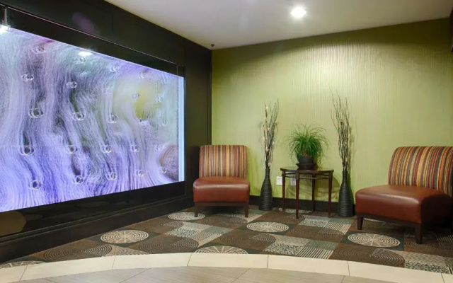 photo 2 of Best Western Plus Arlington North Hotel & Suites