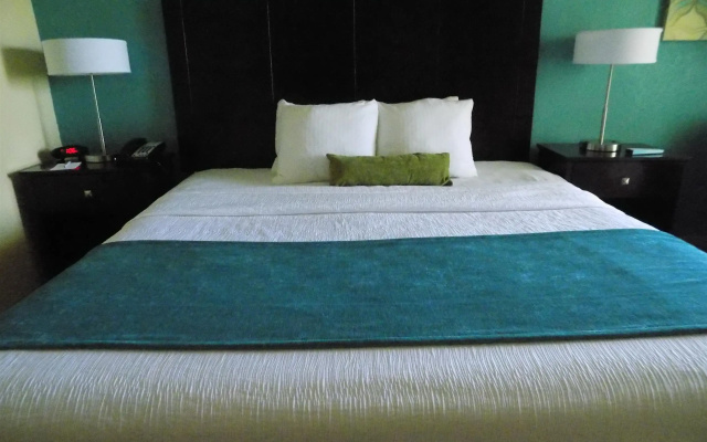 photo 4 of Best Western Plus Deerfield Beach Hotel & Suites