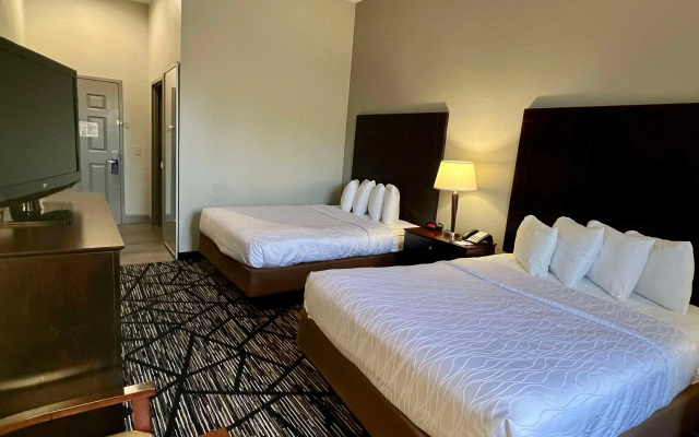 photo 5 of Best Western Plus Hobby Airport Inn & Suites