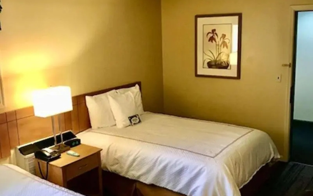 photo 3 of Best Western Plus Inn & Suites
