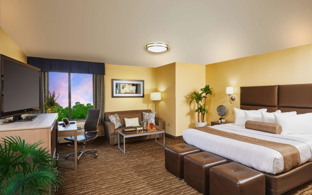 photo 3 of Best Western Plus Lewisville Flower Mound