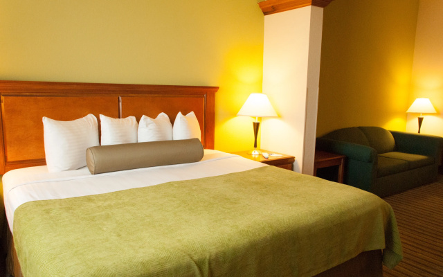 photo 5 of Best Western Plus Miami-Doral/Dolphin Mall