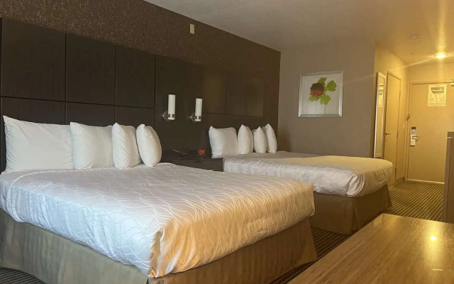 photo 3 of Best Western Plus Rama Inn