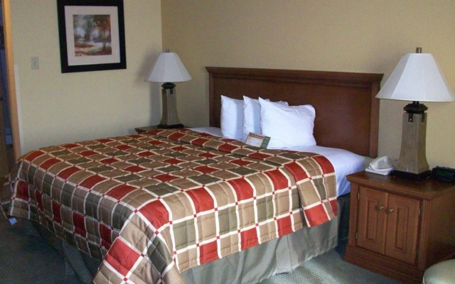 photo 2 of Best Western Posada Ana Inn-Airport
