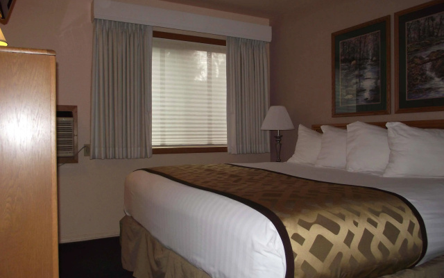 photo 2 of RiverTree Inn & Suites