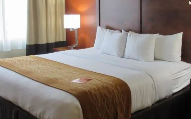 photo 3 of Best Western Starlite Village