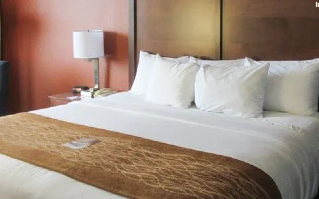 photo 4 of Best Western Starlite Village