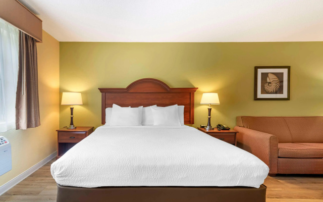 photo 5 of Best Western York Inn