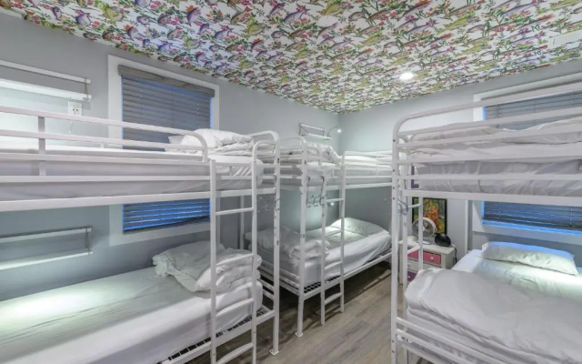 photo 3 of Black Elephant Hostel