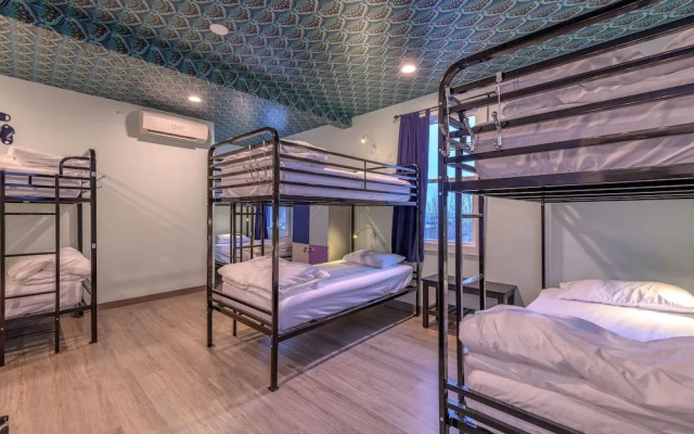photo 4 of Black Elephant Hostel