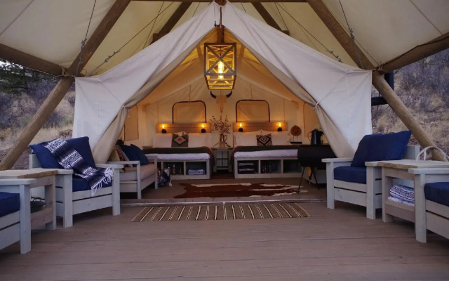 photo 3 of Black Tree Resort