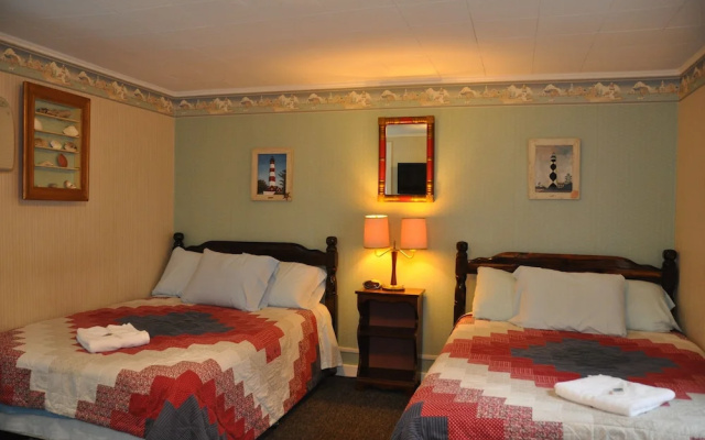 photo 4 of Blue Anchor Guesthouse