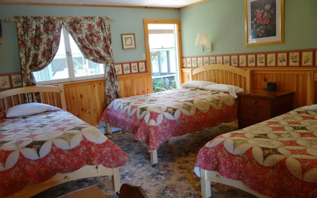 photo 4 of Blue Gentian Lodge at Magic Mountain
