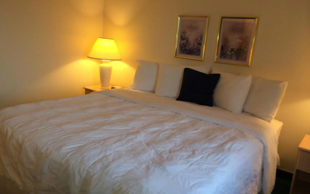 photo 5 of Americas Best Value Inn & Suites Bluffton