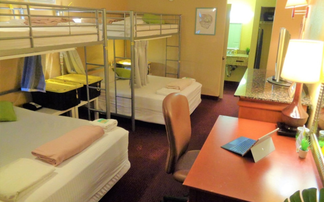 photo 4 of BHostels International Drive North