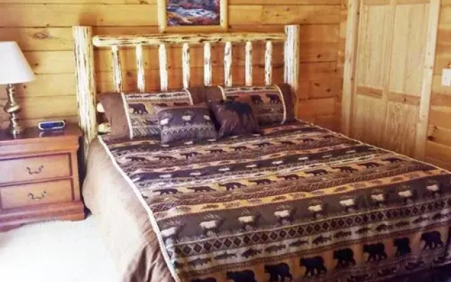 photo 3 of Branson Cedars Resort