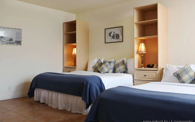photo 4 of Bridgewalk Resort