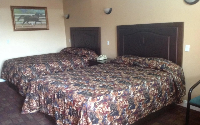 photo 2 of Bronco Motel