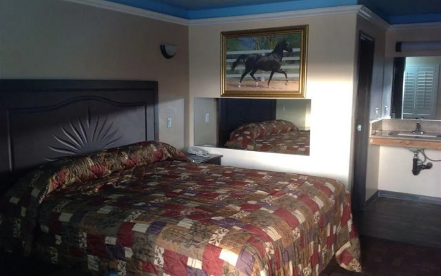 photo 5 of Bronco Motel