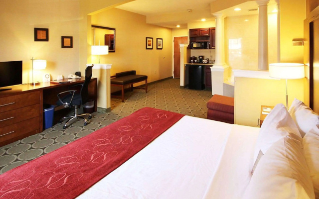 photo 3 of Comfort Suites Near University