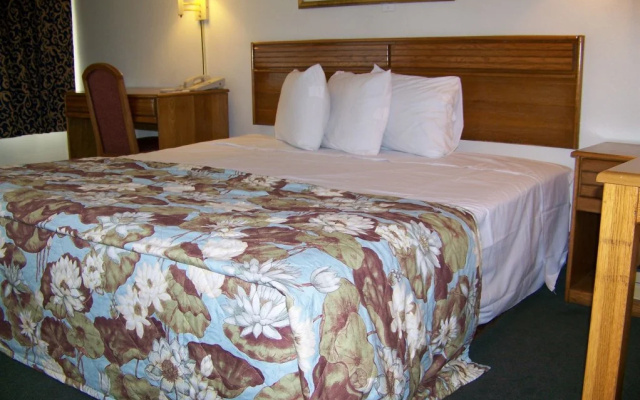 photo 4 of Budget Inn & Suites Orlando