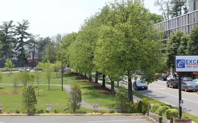 photo 5 of Excel Inn & Suites