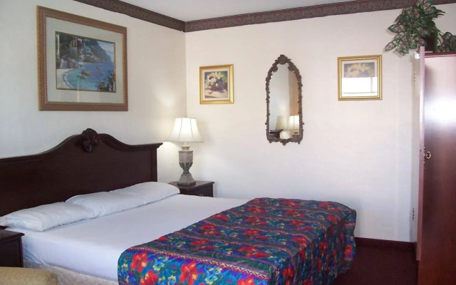 photo 4 of Budget Inn St.Petersburg