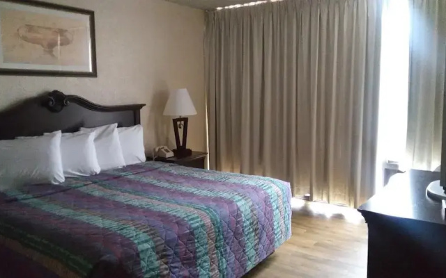 photo 4 of Budget Lodge of San Antonio