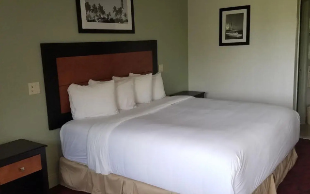 photo 2 of Budget Inn
