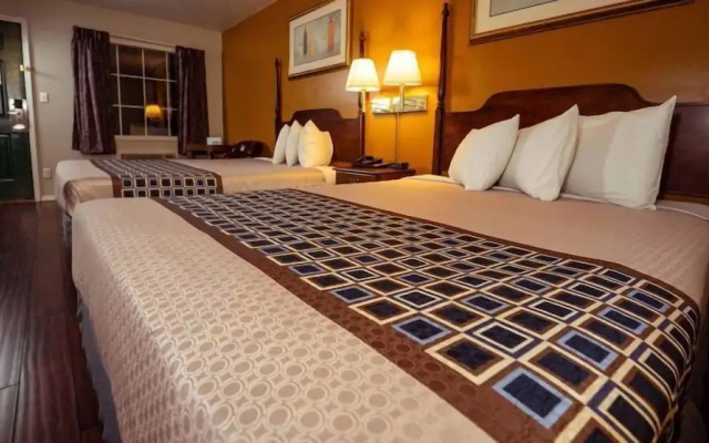 photo 3 of King Resort