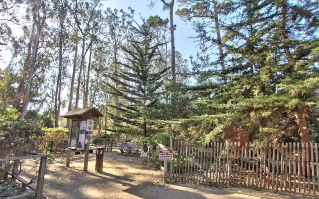 photo 4 of Butterfly Grove Inn