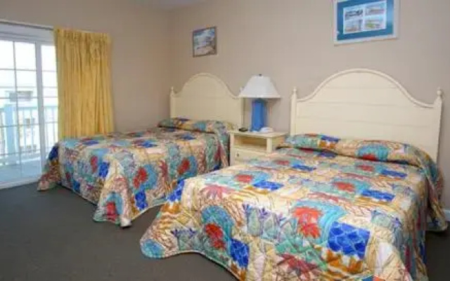 photo 2 of C & D's Spiffy Digs by RedAwning