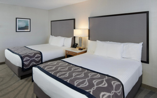 photo 5 of California Hotel and Casino