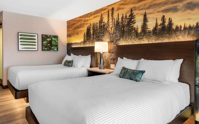 photo 4 of Cambria Hotel Shelby Township - Detroit Utica