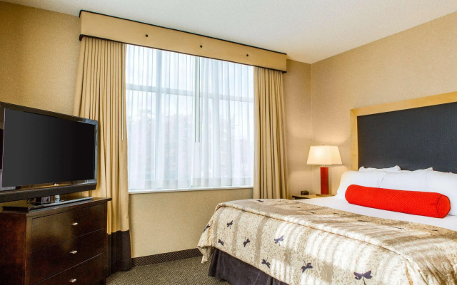 photo 5 of Cambria Hotel Raleigh - Durham Airport