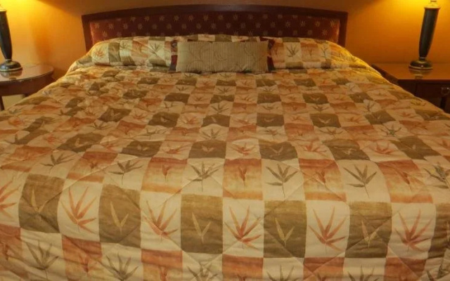 photo 3 of Cameo Motel - Portland