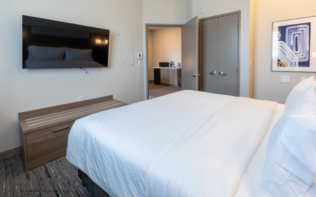 photo 4 of Holiday Inn Express & Suites Englewood Denver South by IHG