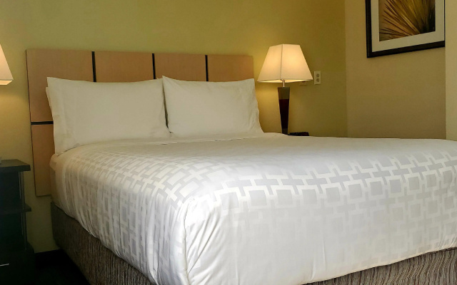 photo 3 of Candlewood Suites Houston Medical Center by IHG