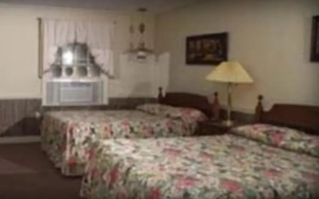 photo 3 of Cannon Mountain View Motel