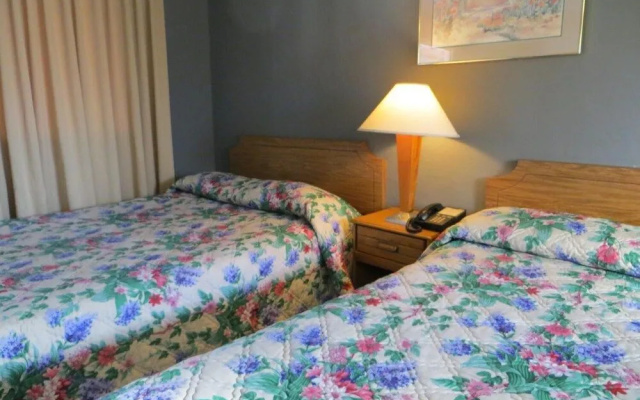 photo 4 of The Capri Motel