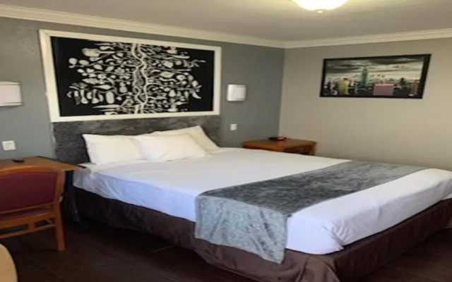 photo 5 of Uptown Inn
