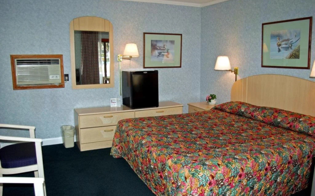 photo 5 of The Carolinian Inn