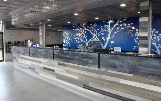photo 2 of Celebration Suites