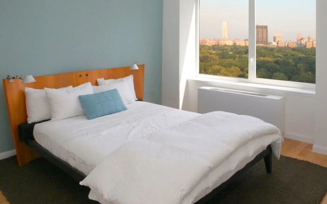 photo 5 of Central Park View IV