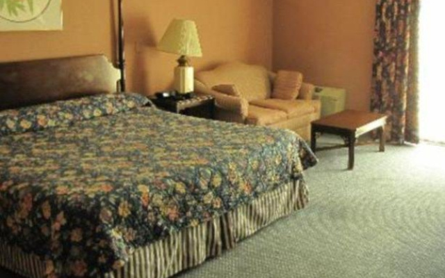 photo 4 of Channel Inn