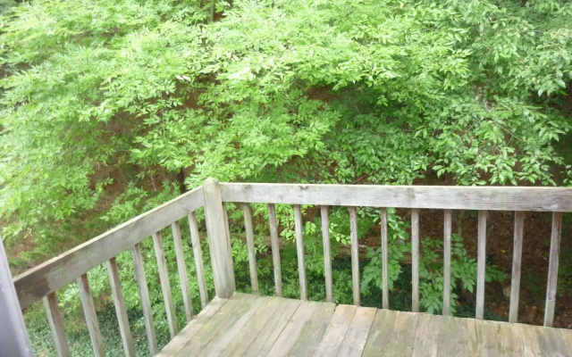 photo 5 of Chapel Hill InnTown
