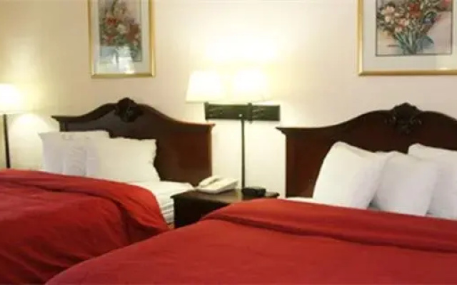 photo 5 of Cherry Lane Motor Inn